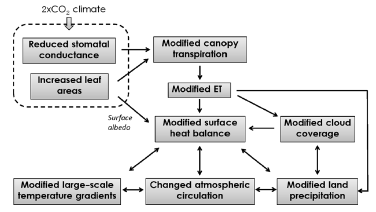 A representation of vegetation feedbacks to the doubled CO2 climate system.